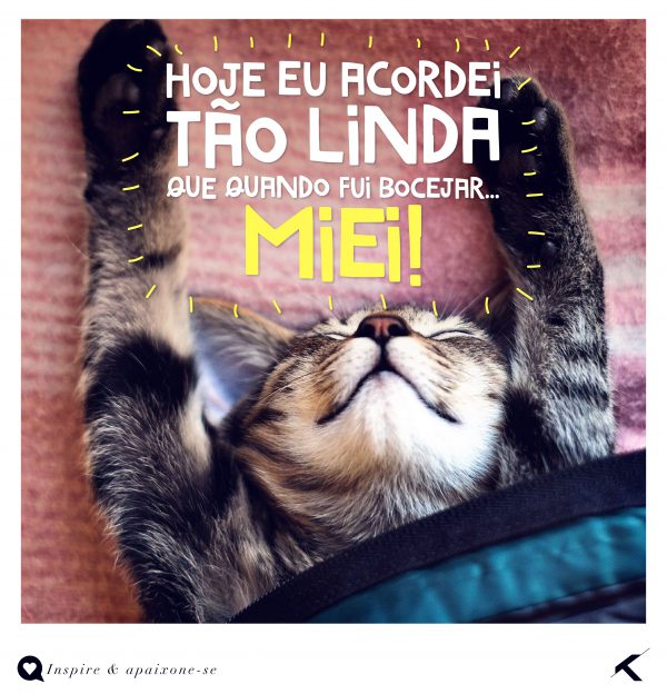 Uma Mensagem De Bom Dia Para Uma Amiga Para Whatsapp