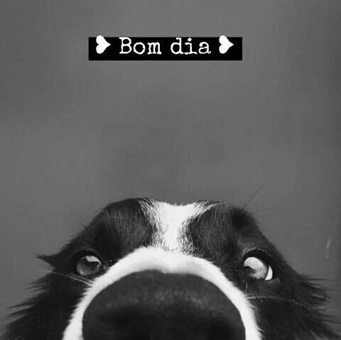 Uma Mensagem De Bom Dia Para Uma Pessoa Especial Para Whatsapp