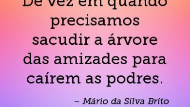 Verdadeira Amizade Frases