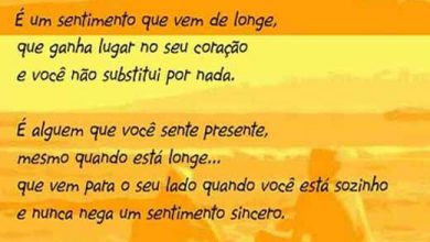 Versos De Amizade