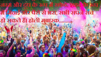 What Does Holi Mean