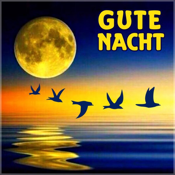 Wunderschöne Gute Nacht Wunderschöne Gute Nacht - Wunderschöne Gute Nacht