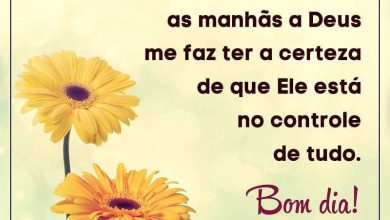 Www Frases De Bom Dia Com Carinho Para Whatsapp