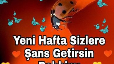 Yasaklandın Sözleri Resimli Indir Facebook