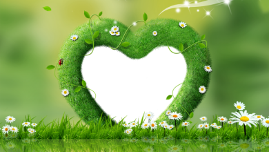 Зеленая сердце