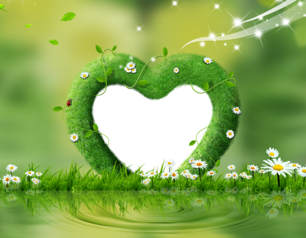 Зеленая сердце - Рамка Зеленая сердце