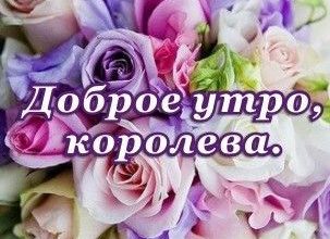 добрым утром и хорошего дня открытки