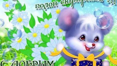 открытки