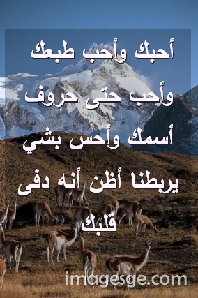 وأحب طبعك وأحب حتى حروف أسمك وأحس بشي يربطنا أظن أنه دفى قلبك صور رسائل حب رومانسيه