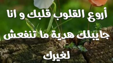 الاعياد عيدك و أروع القلوب قلبك و انا جايبلك هدية ما تنفعش لغيرك