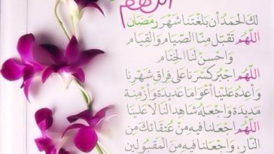 الصور عن شهر رمضان المبارك