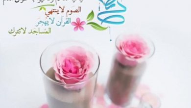 صور تهانى وخلفيات رمضان كريم