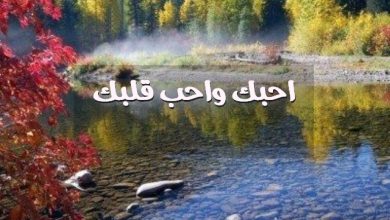 واحب قلبك صور حب رومانسيه