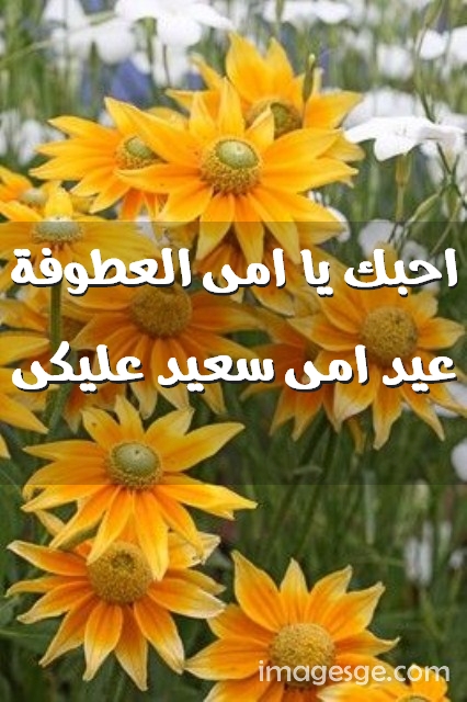 يا امى العطوفة عيد امى سعيد عليكى