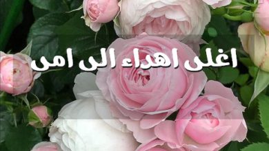 اهداء الى امى