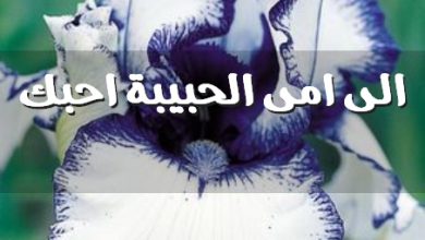 امى الحبيبة احبك