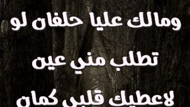 قلبي ليك ولهان ومالك عليا حلفان لو تطلب مني عين لاعطيك قلبي كمان صور حب رومانسيه