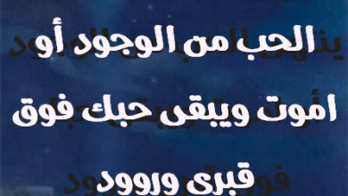 احبك حتى ينتهى الحب من الوجود أو اموت ويبقى حبك فوق قبرى وروود صور حب رومانسيه