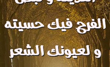 قلبي لك أهديته و نبض الفرح فيك حسيته و لعيونك الشعر خطيته صور حب رومانسيه