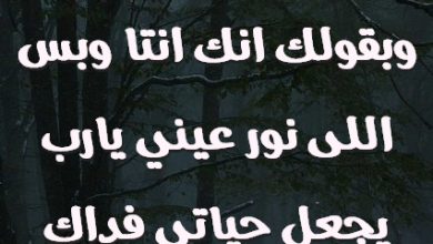 فرحان بحبك وعيني صابرة في بعدك وبقولك انك انتا وبس اللى نور عيني يارب يجعل حياتي فداك حبيبي صور حب رومانسيه