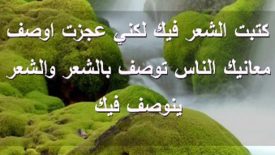 الشعر فيك لكني عجزت اوصف معانيك الناس توصف بالشعر والشعر ينوصف فيك صور رسائل حب رومانسيه