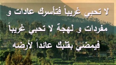 تحبي غريباً فتأسرك عادات و مفردات و لهجة لا تحبي غريباً فيمضي بقلبك عائداً لأرضه صور رسائل حب رومانسيه