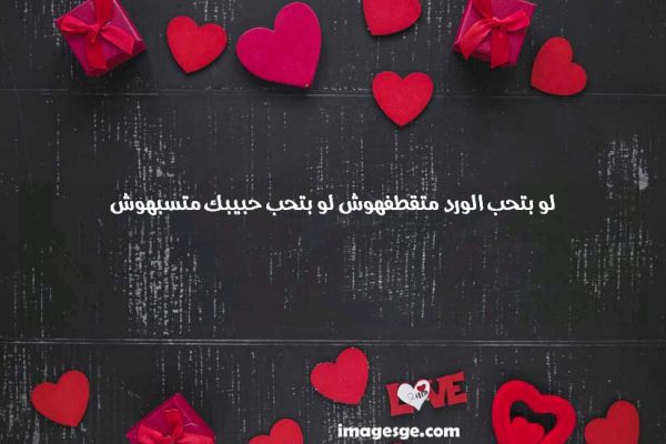 بتحب الورد متقطفهوش لو بتحب حبيبك متسبهوش صور حب ورسائل وعبارات رومانسية