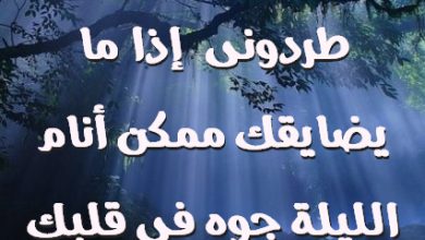 سمحت، أهلى طردونى إذا ما يضايقك ممكن أنام الليلة جوه فى قلبك صور حب رومانسيه