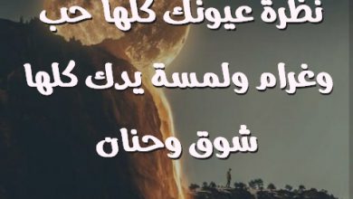 عيونك كلها حب وغرام ولمسة يدك كلها شوق وحنان صور حب رومانسيه