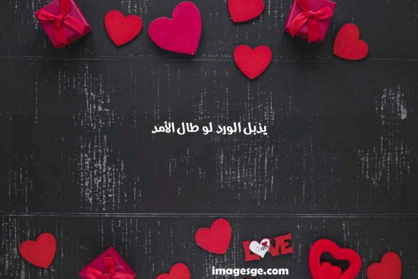 الورد لو طال الأمد صور حب ورسائل وعبارات رومانسية