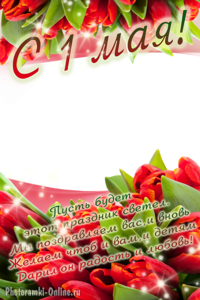 фоторамка онлайн Майя поздравления тюльпаны - фоторамка онлайн Майя поздравления тюльпаны