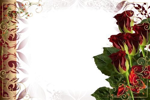 онлайн Очаровательные Розы  - фоторамка онлайн Очаровательные Розы