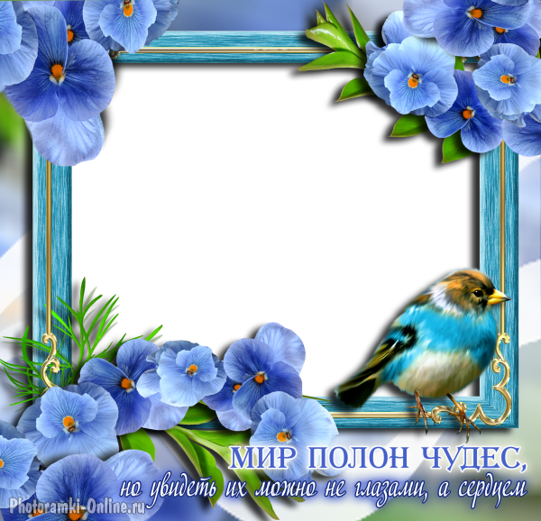 фоторамка онлайн голубые цветы птица надпис чудо - фоторамка онлайн голубые цветы птица надпис чудо
