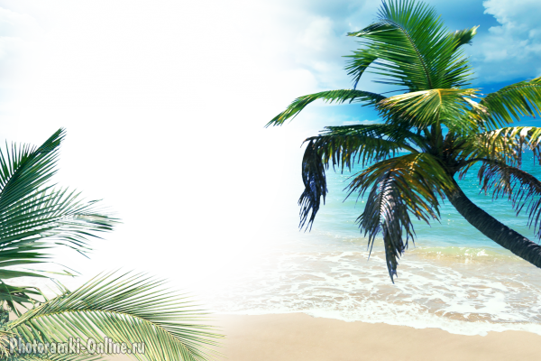 фоторамка онлайн еще пальмовый пляж - фоторамка онлайн еще пальмовый пляж
