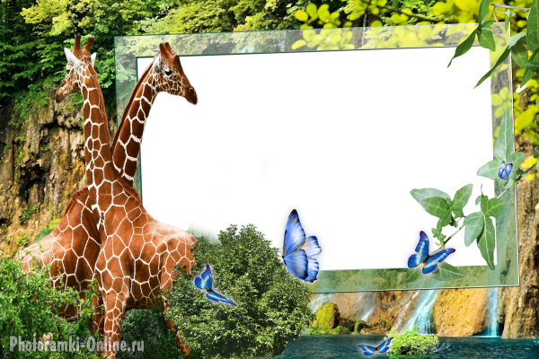 онлайн жирафьей водопад - фоторамка онлайн жирафьей водопад