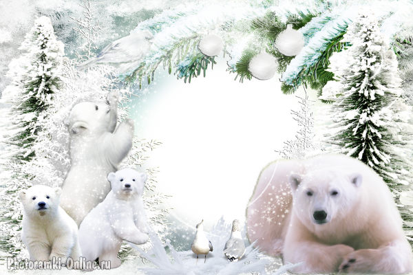 фоторамка онлайн заснеженные елки и белые медведи - фоторамка онлайн заснеженные елки и белые медведи