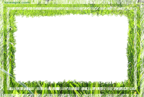 онлайн зеленая трава  - фоторамка онлайн зеленая трава