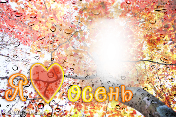 фоторамка онлайн капли дождя люблю осень - фоторамка онлайн капли дождя люблю осень