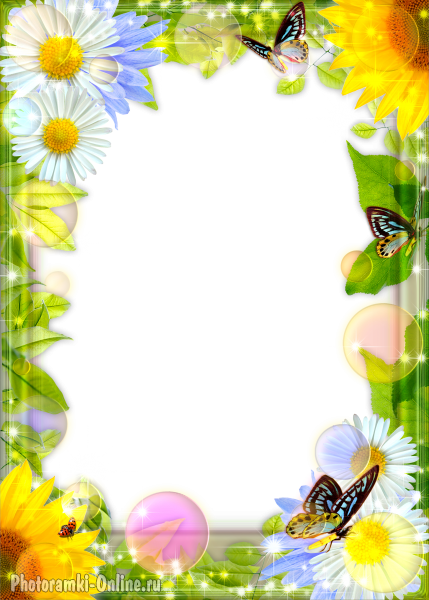 фоторамка онлайн летняя цветы - фоторамка онлайн летняя цветы