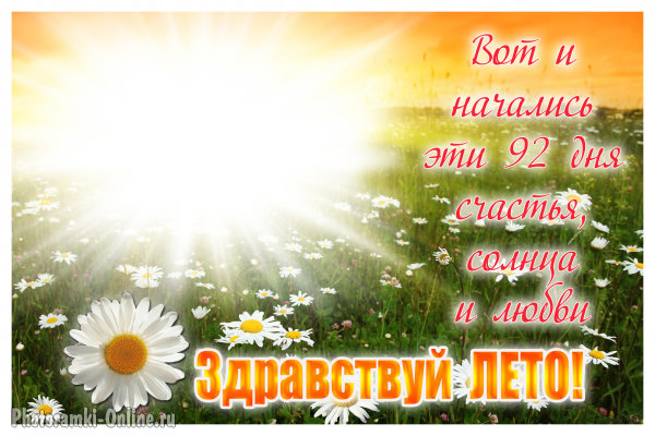 фоторамка онлайн лето ромашки солнце счастье любовь - фоторамка онлайн лето ромашки солнце счастье любовь