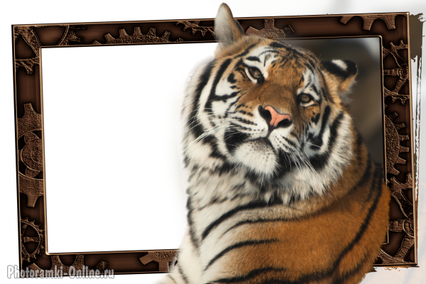 онлайн онлайн с тигром - фоторамка онлайн онлайн с тигром