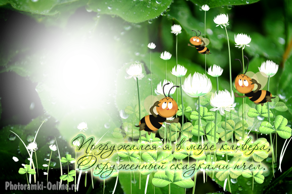 онлайн пчелы клевер - фоторамка онлайн пчелы клевер