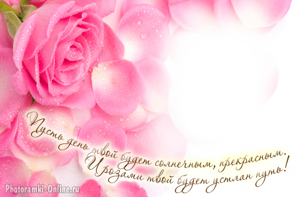 фоторамка онлайн с розами я pozhelaniem - фоторамка онлайн с розами я pozhelaniem