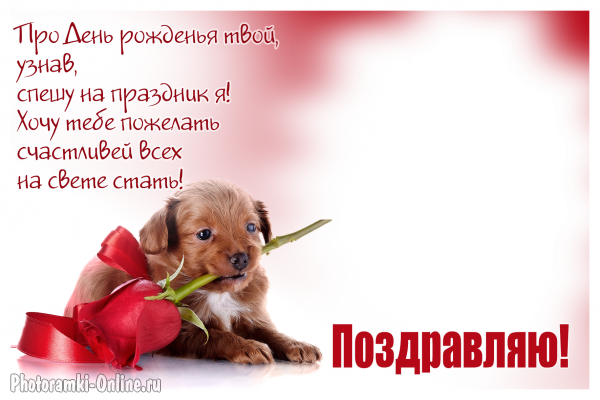 фоторамка онлайн с собакой я розой я pozhelaniem - фоторамка онлайн с собакой я розой я pozhelaniem