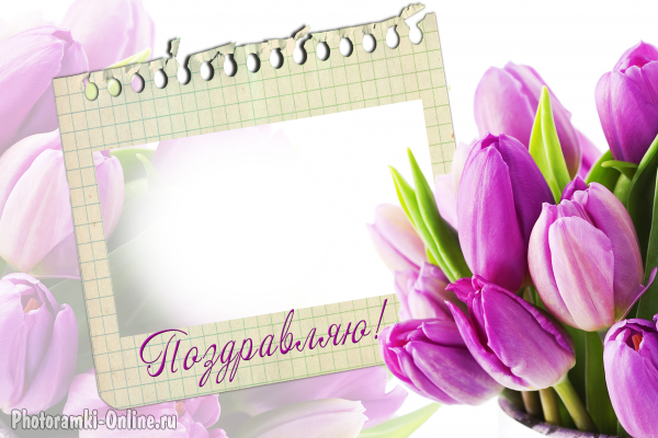 фоторамка онлайн тюльпаны поздравляю - фоторамка онлайн тюльпаны поздравляю