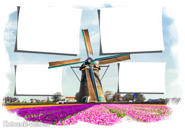 онлайн фото Голландия тюльпаны мельница - фоторамка онлайн фото Голландия тюльпаны мельница