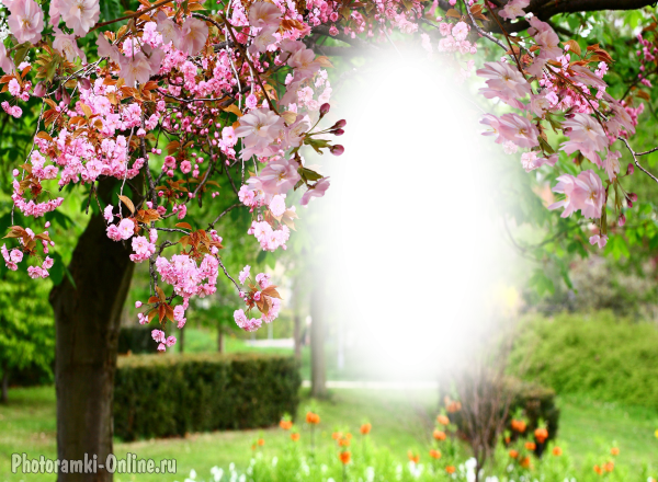 онлайн vesenniy park cvety derevya.png - фоторамка онлайн vesenniy park cvety derevya