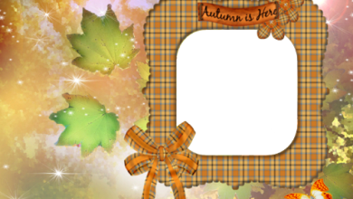 Autumn a patterns photo frame