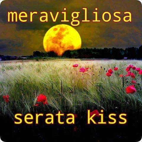 Buon Pomeriggio Frasi E Immagini Immagini