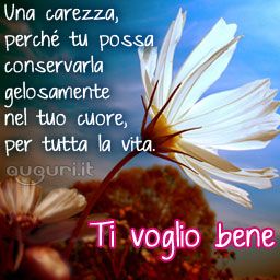 Buongiorno Ti Voglio Bene Immagini